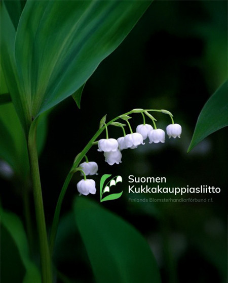 Kukkakauppiaspäivän juhlaillallinen